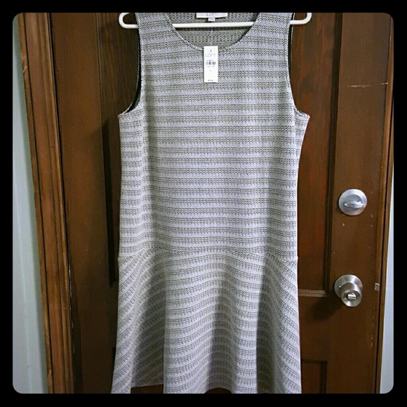 LOFT Dresses & Skirts - Brand new Loft Drop waist dress